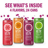 IZZE SPARKLING JUICE