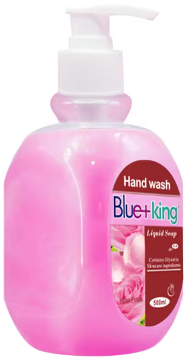 HAND WASH ASSORTED